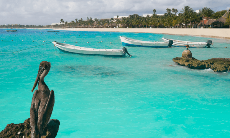 Akumal Tesoro escondido en la costa del Caribe Mexicano