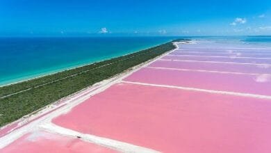 Las Coloradas, Yucatán, un rincón rosado en el corazón de la naturaleza