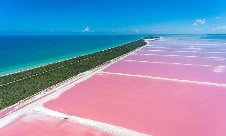 Las Coloradas, Yucatán, un rincón rosado en el corazón de la naturaleza