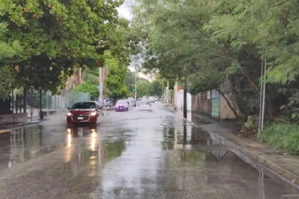 Buscan sustentabilidad en drenajes pluviales