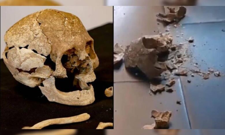 Rompen cráneo de 700 años de antigüedad en Puebla 