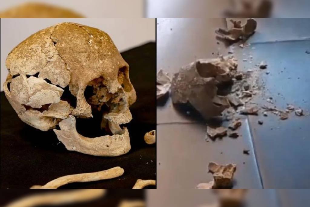 Rompen cráneo de 700 años de antigüedad en Puebla 