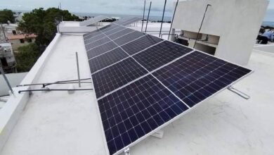 Usarían sargazo para fabricación de paneles solares en Yucatán