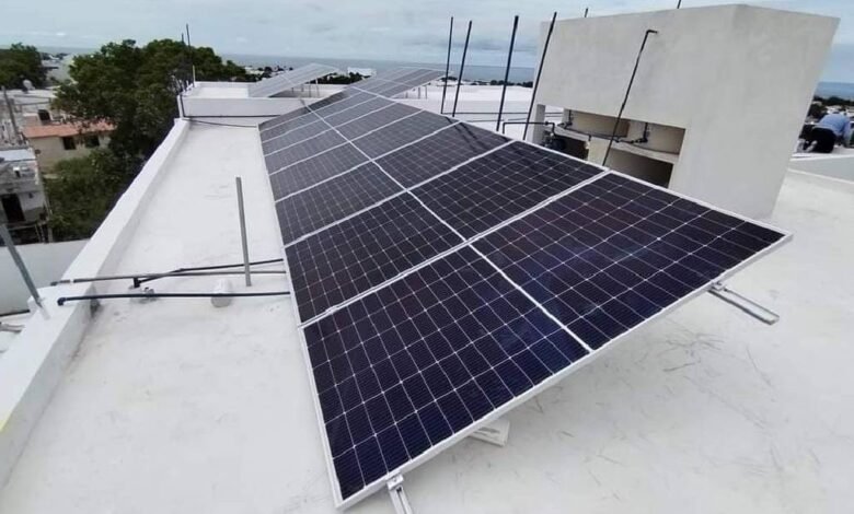 Usarían sargazo para fabricación de paneles solares en Yucatán