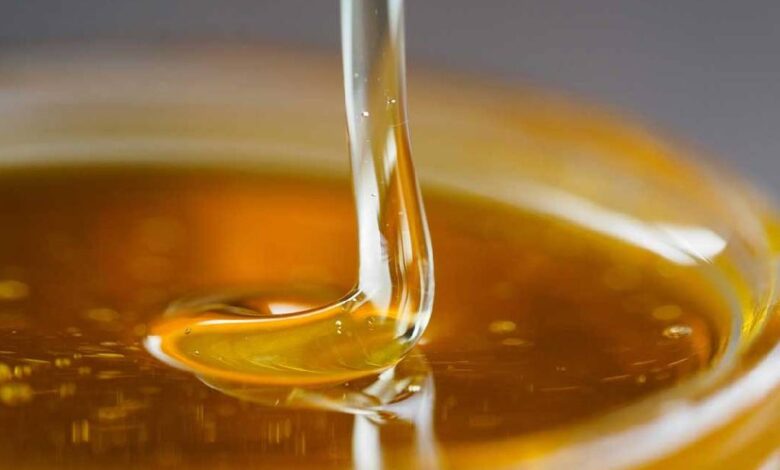Preocupación entre apicultores por el bajo precio de la miel de tajonal