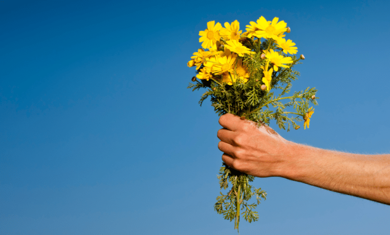 Por qué se regalan flores amarillas hoy 21 de marzo en México