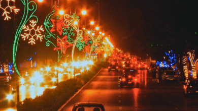 Qué hacer en Mérida, Yucatán, durante las fiestas decembrinas