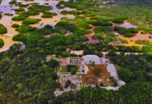 xcambó, la ciudad maya costera que guarda secretos milenarios en yucatán