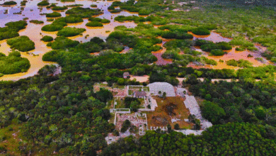 xcambó, la ciudad maya costera que guarda secretos milenarios en yucatán