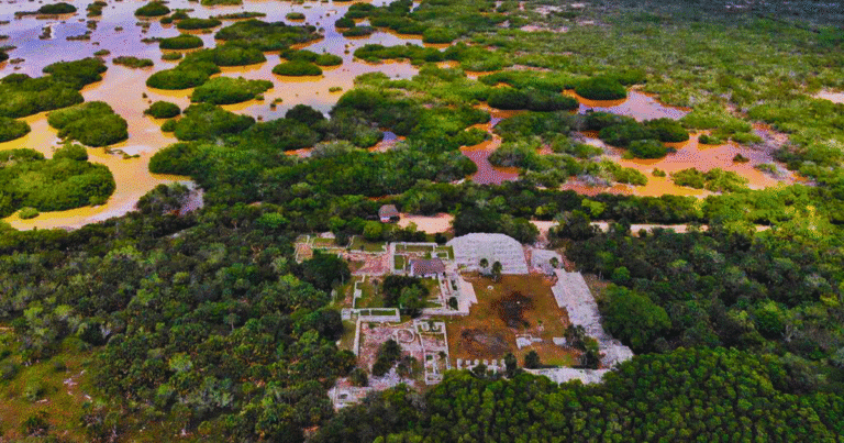 xcambó, la ciudad maya costera que guarda secretos milenarios en yucatán