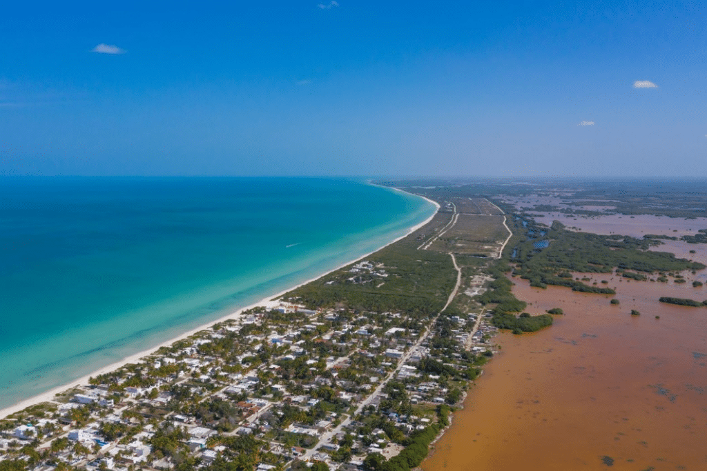 Descubre playas paradisiacas como Celestún y Sisal en Yucatán