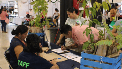 Preservan plantas con la tecnología Cuxtal