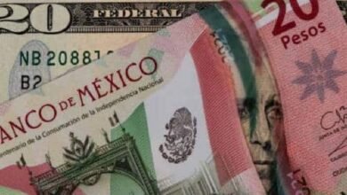 Precio del dólar abre en 20.16 al mayoreo, tras feriado de Navidad