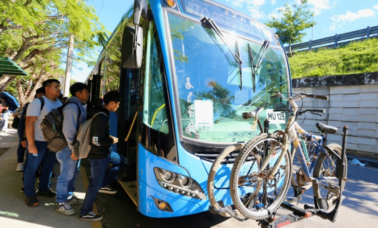 Transporte público funcionará con normalidad en Yucatán este Año Nuevo