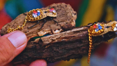 maquech el escarabajo enjoyado que guarda una antigua leyenda maya