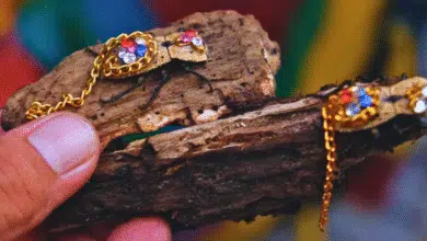 maquech el escarabajo enjoyado que guarda una antigua leyenda maya