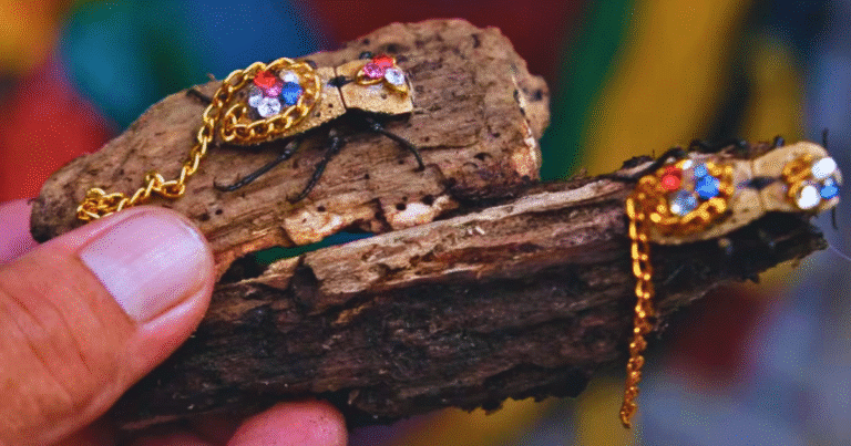 maquech el escarabajo enjoyado que guarda una antigua leyenda maya