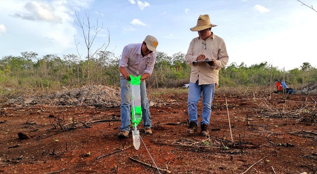 Innovaciones en la agricultura en zonas mayas