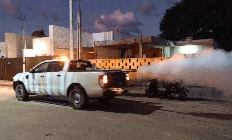 Acciones de fumigación contra Dengue, Zika y Chikungunya en Mérida y municipios de Yucatán