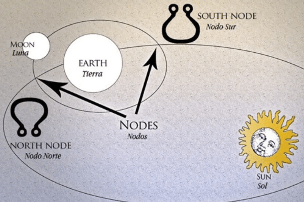 Astrología Kármica El Poder del Nodo Norte y Nodo Sur en Tu Vida