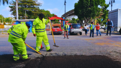 “Bachetón” avanza 80 por ciento en Yucatán