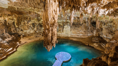 Cenotes refrescantes para disfrutar en enero
