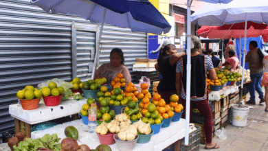 Costo de los tamales pone en riesgo celebración de la Candelaria