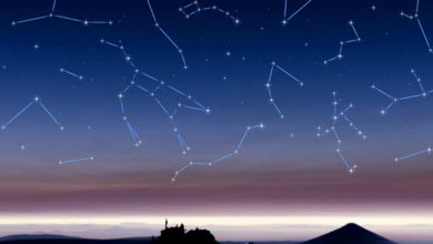 Las Estrellas y Constelaciones Más Importantes Guía para Exploradores del Cielo Nocturno