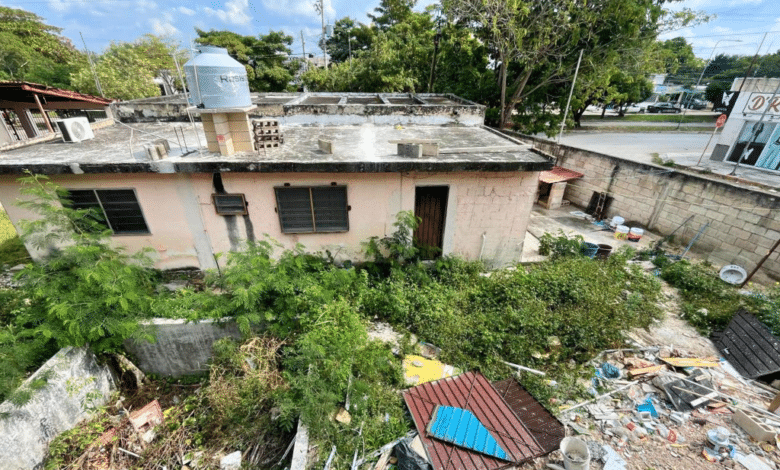 Multarán a propietarios de lotes baldíos en Mérida