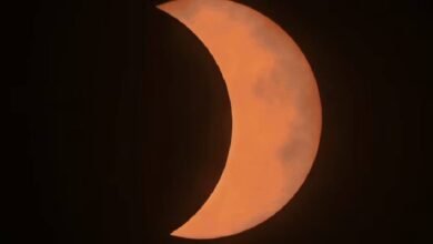 Primer Eclipse de 2025; ¿cuándo y dónde se podrá ver?