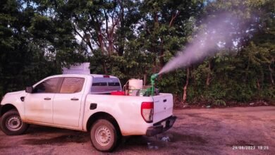 Reportan caída de casosde dengue en el estado