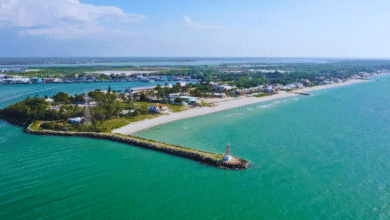 entre historia y clima el sotavento, la brisa costera que define yucatán