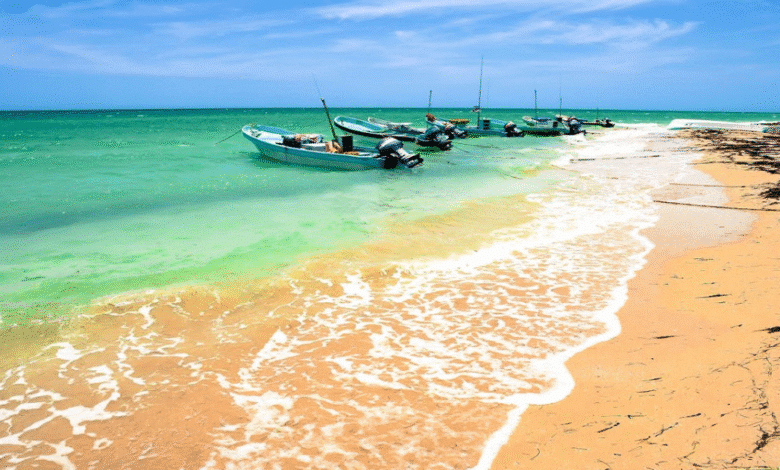yucatán tiene playas tan bellas como el caribe (te contamos cuáles son)