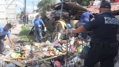 ¿Conoces alguna casa con acumulación de basura extrema en Mérida? ¡Repórtalo ya!