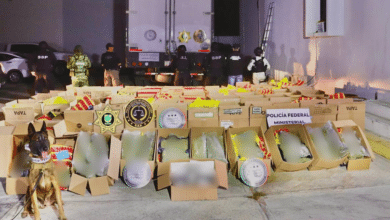 Aseguran torton cargado de cannabis y tres armas de fuego en Yucatán