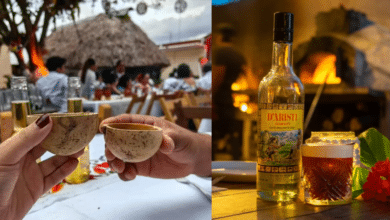 Bebidas típicas de México: Tradición y sabor del sureste al norte