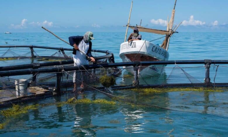 Canainpesca destaca apoyo del gobierno a favor de la industria