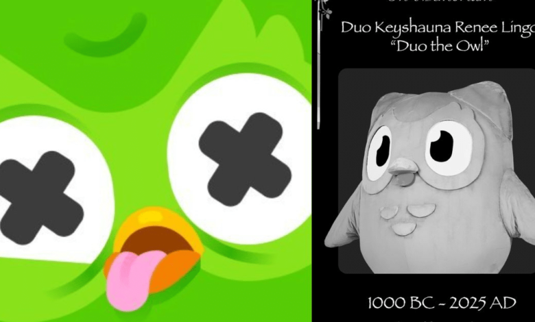 Duolingo anuncia la muerte de su mascota Duo “Tenía muchos enemigos”