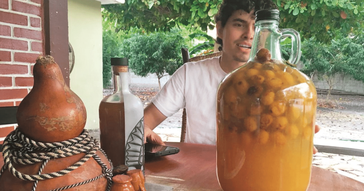 El agua de jobo, una bebida refrescante y poco conocida en Veracruz