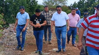 Gobierno de Yucatán alista 11 programas de apoyo al campo