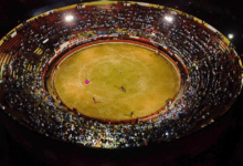 PETA Latino anuncia la cancelación de corridas de toros en Yucatán