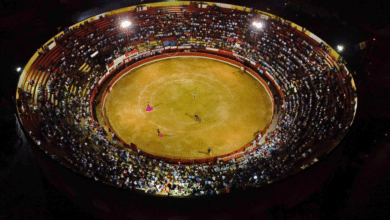 PETA Latino anuncia la cancelación de corridas de toros en Yucatán