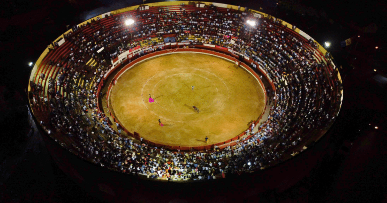 PETA Latino anuncia la cancelación de corridas de toros en Yucatán