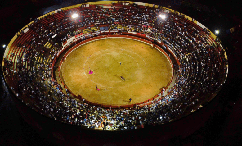 PETA Latino anuncia la cancelación de corridas de toros en Yucatán