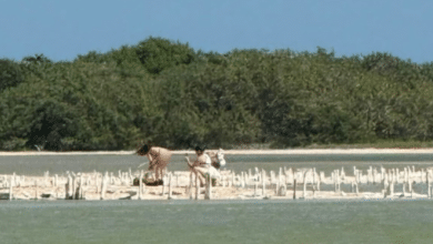 Polémica en Río Lagartos, Yucatán: Realizan sesión de fotos erótica