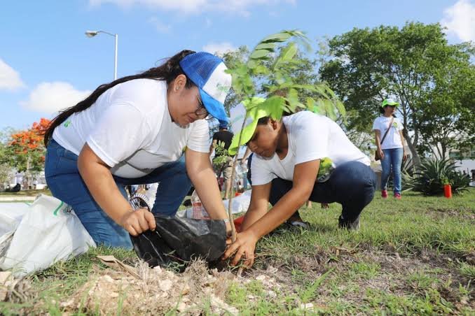 Mérida: Consiguen mil árboles extra para Corredores Verdes
