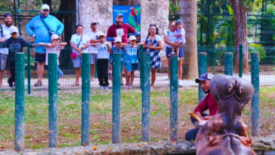 Zoológico La Reina en Tizimín celebra 50 años