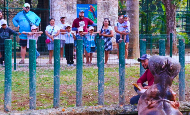 Zoológico La Reina en Tizimín celebra 50 años