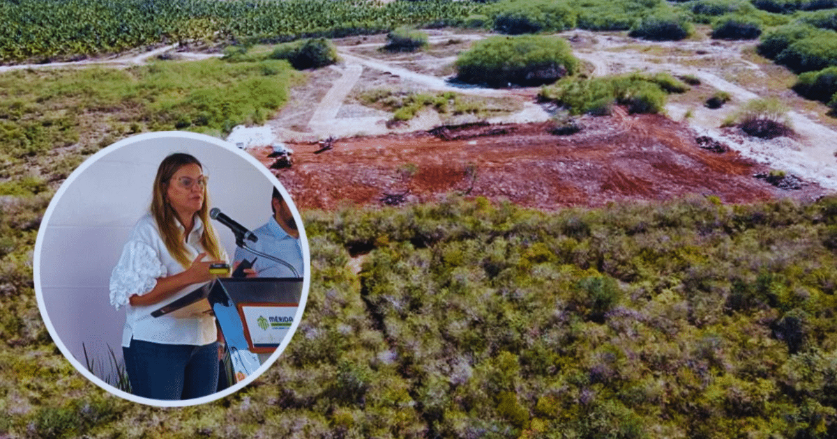 Ayuntamiento de Mérida presentará denuncia por destrucción ilegal en la Reserva Cuxtal