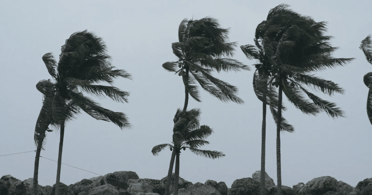 Clima extremo en México Vientos fuertes, tolvaneras y caída de nieve en el norte